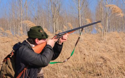 Quel est le meilleur type d&rsquo;arc pour la chasse ?