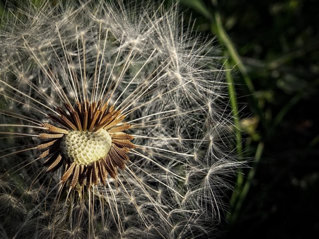 Allergies de printemps : peut-on les éviter ? Adoptez ces gestes simples