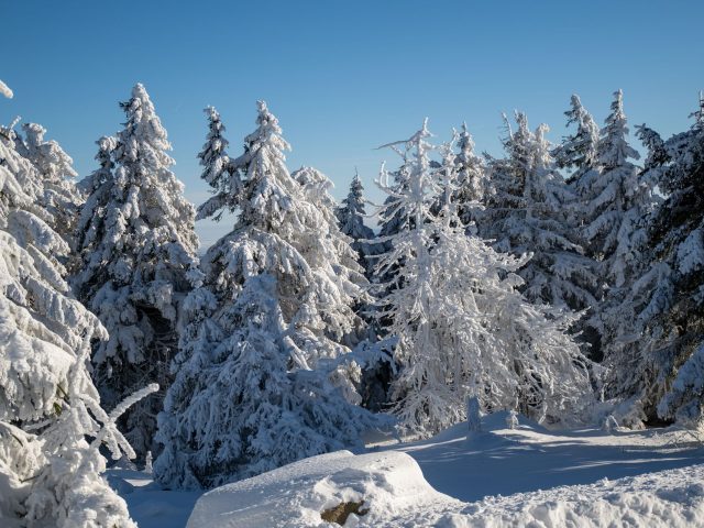 Stratégies pour Réduire le Stress en Hiver